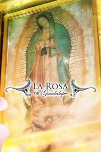 La rosa de Guadalupe